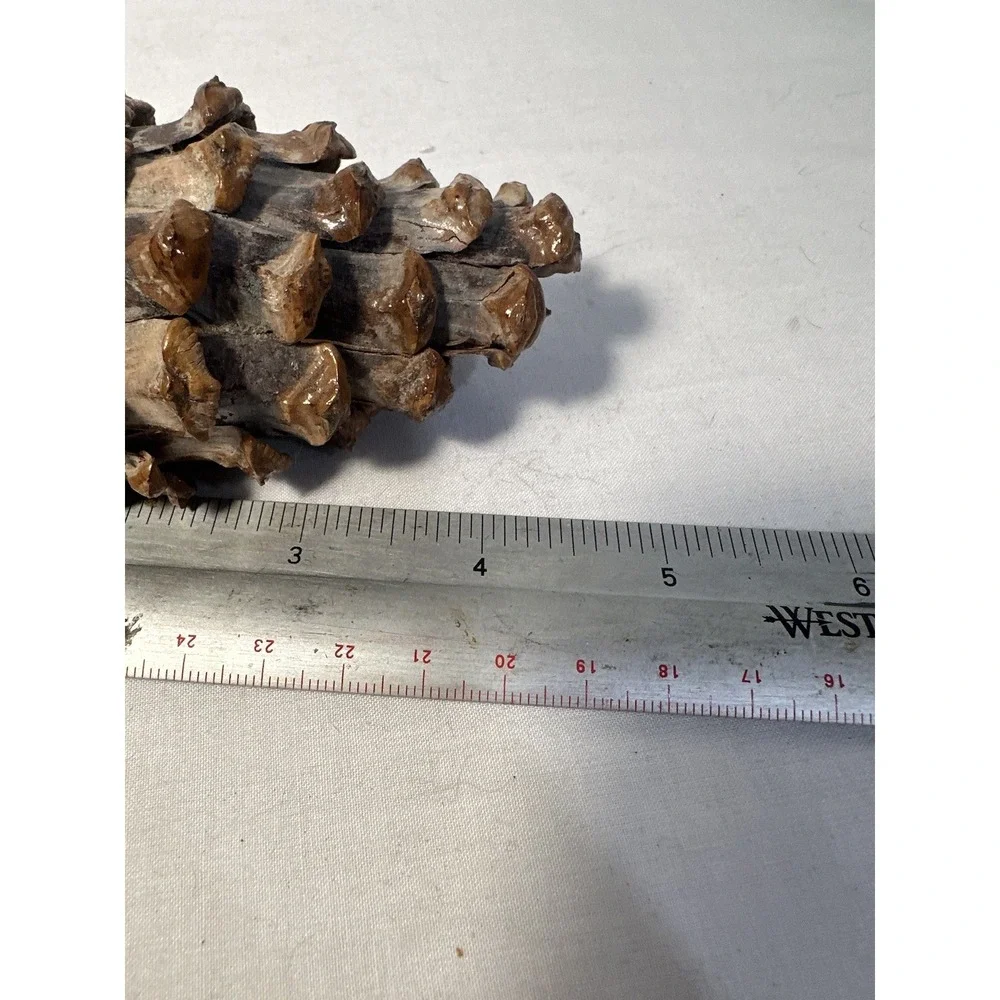 VINTAGE Pine Cone MINI DUCK DECOY MADE FROM‎ PINE CONES